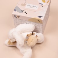 DC3738 3.jpg Coffret Pantin Lapin beige - Happy Wild - 25 cm