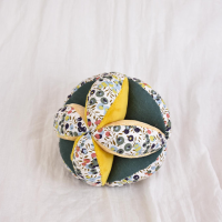 Balle d'activites Lion -DC4227.png