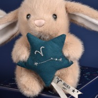 BELIER ASTRO-DC4651-4.jpg