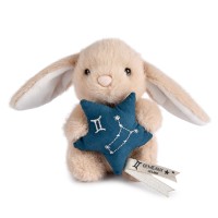 astro gemeaux- DC4653-1.jpg