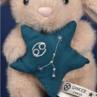 Etoile brodée signe astrologique cancer
