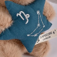 signe capricorne-DC4660-3.jpg