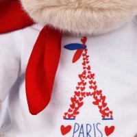 SOUVENIR PARIS-TOUR EIFFEL-SP4290-2.jpg