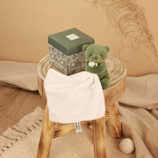 Doudou mouchoir- Mon petit ourson - Vert - 10 cm