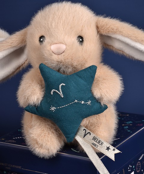 BELIER ASTRO-DC4651-4.jpg