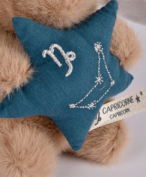 signe capricorne-DC4660-3.jpg