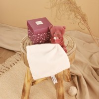 Mon petit ourson - Prune avec boite