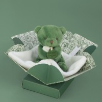 DOUDOU  ourson - Vert DC4357