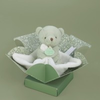 DOUDOU Mon petit ourson - Vert d'eau DC4357