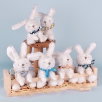 DC3817-46.jpg - Petits lapins blanc