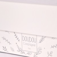 Boite collection anniversaire dc4581 (4).jpg