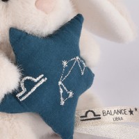 balance astro-DC4657-3.jpg