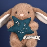 signe du capricorne-DC4660-4.jpg