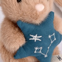 signe astro poissons broderie