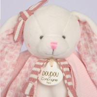 DC4671-LAPIN-vanille-fraise-1.jpg