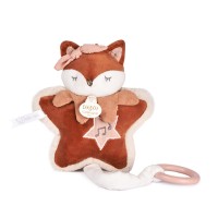 boite à musique renard-DC4689-1.jpg