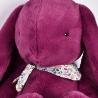lapin xxl prune-DC4727-1.png