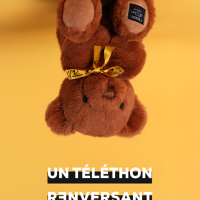 HO3229-telethon-4.png