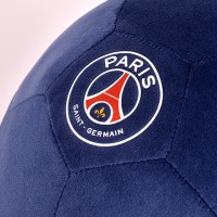 psg-li4610.1.jpg