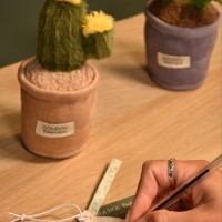 Peluche fleur - Cactus VertSP4345-12.jpg