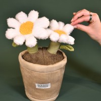 Peluche fleur - Marguerite - 25 cm- SP4347.jpg