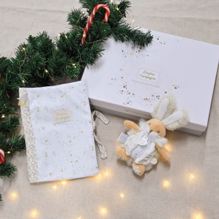 J-10 avant ????????????̈???? ????Pour le premier cadeau de ????????????̈???? de bébé ????Un joli coffret de naissance avec une adorable peluche et un protège carnet de santé assorti ????La maman comme son bébé seront ravis de ce beau cadeau ????#doudouetcompanie #cadeaunoël #idéecadeau ##noël2022