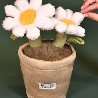 Peluche fleur - Marguerite - 25 cm