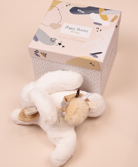 DC3738 3.jpg Coffret Pantin Lapin beige - Happy Wild - 25 cm