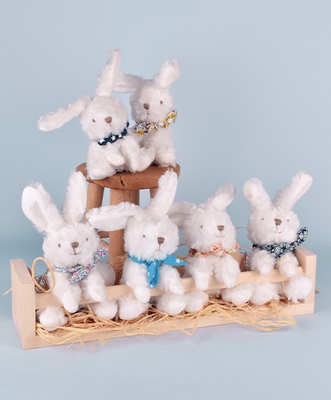 DC3817-46.jpg - Petits lapins blanc