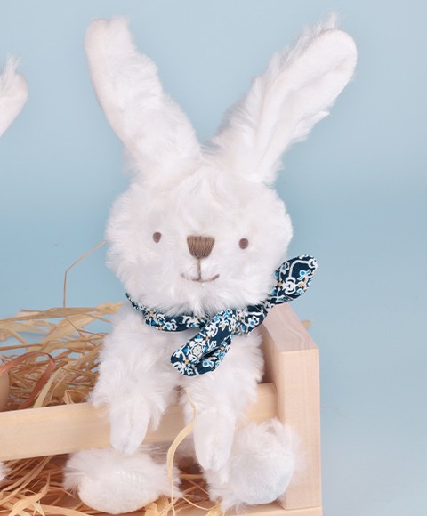 DC3817-48.jpg - Lapin blanc avec chouchou