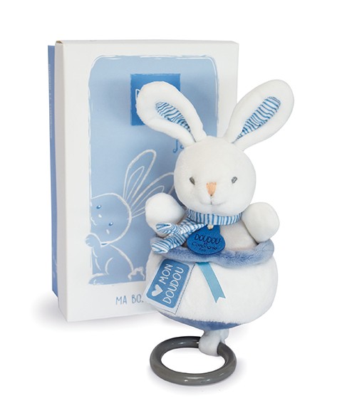 DC3836-lapin-bleu-2.jpg