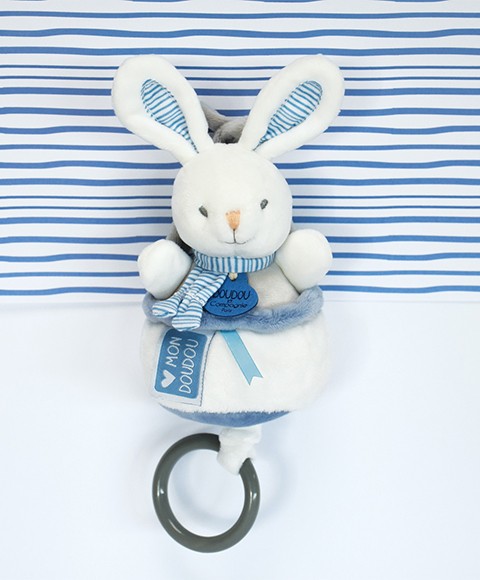 DC3836-lapin-bleu.jpg