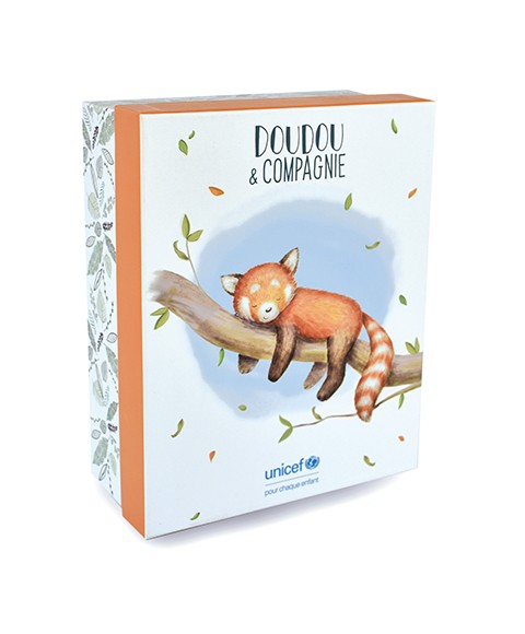 DC3985-3.jpg - boite