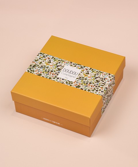 DC4025  2.jpg Boite Doudou pétale lion jaune et vert