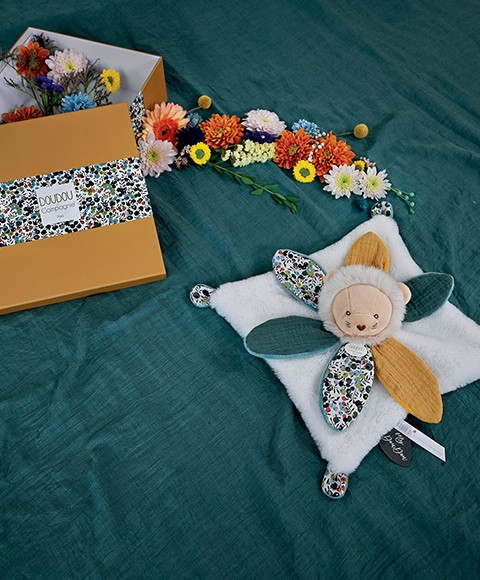 DC4025.jpg Boite Doudou pétale lion jaune et vert