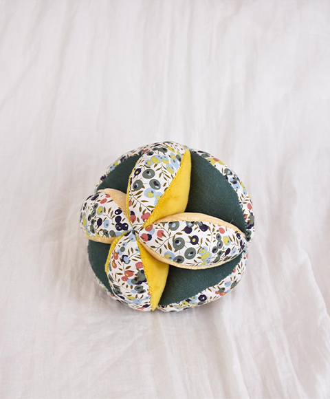 Balle d'activites Lion -DC4227.png