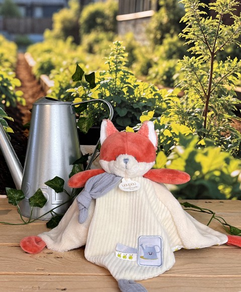 doudou plat renard-dc4327-1.jpg