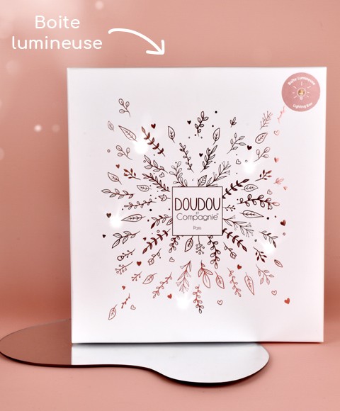 boite leds- DC4332-2.jpg