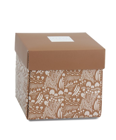 dc4357-boite-marron.jpg