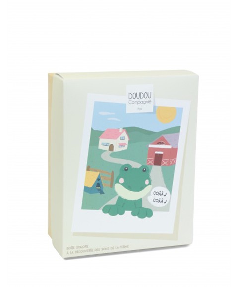 DC4358 grenouille boite sonore