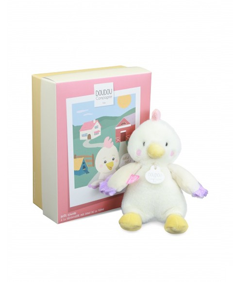 DC4358 poule (11).jpg