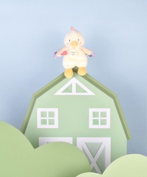 DC4358 poule (3).jpg