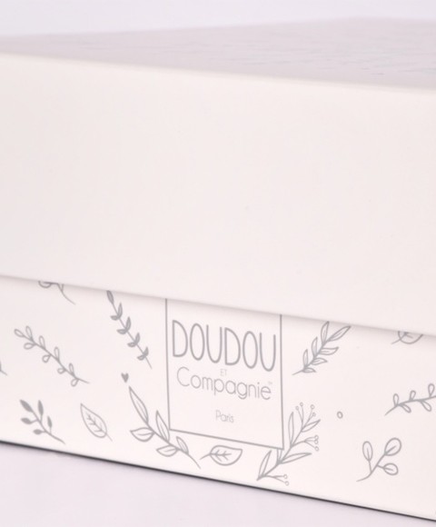 Boite collection anniversaire dc4581 (4).jpg