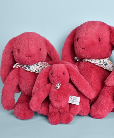 DC4588-DC4591-DC4594-DC4597 famille lapin fleurette fushia