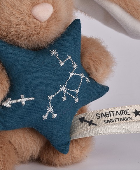 signe astro sagittaire-DC4659-3.jpg