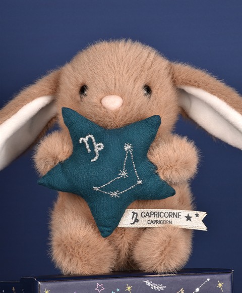 signe du capricorne-DC4660-4.jpg