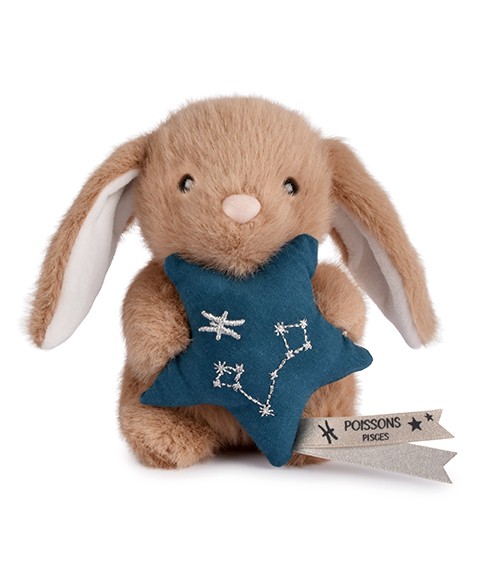 signe astro- poisson