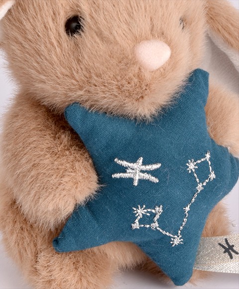 signe astro poissons broderie