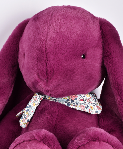 lapin xxl prune-DC4727-1.png