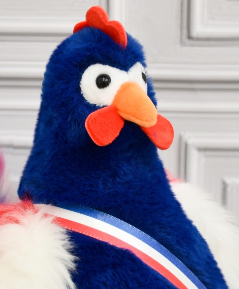 Peluche coq bleu marine avec écharpe bleu blanc rouge- FR8017-1.jpg